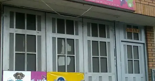 VETERINARIA LOVERS PETS PET SHOP VETERINARIA LOVERS PETS PET SHOP